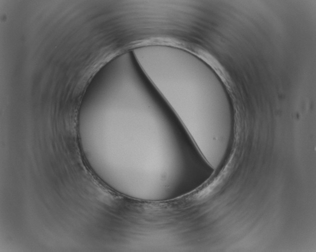 X0000088670857200705310957