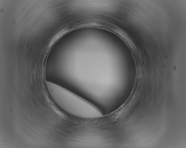 X0000088670858200705310957