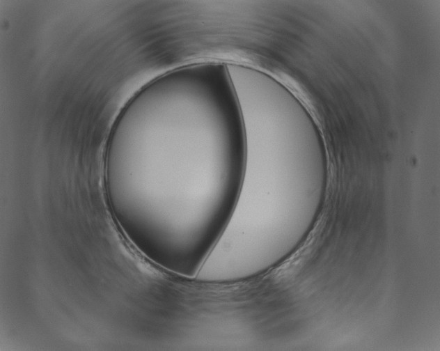 X0000088670862200705310957