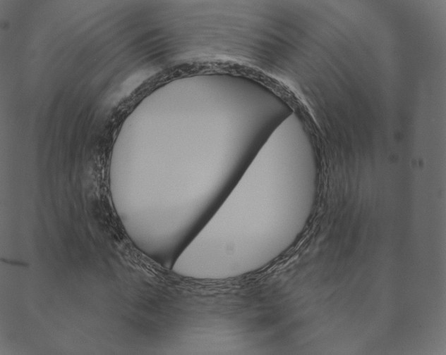 X0000088670871200705310956