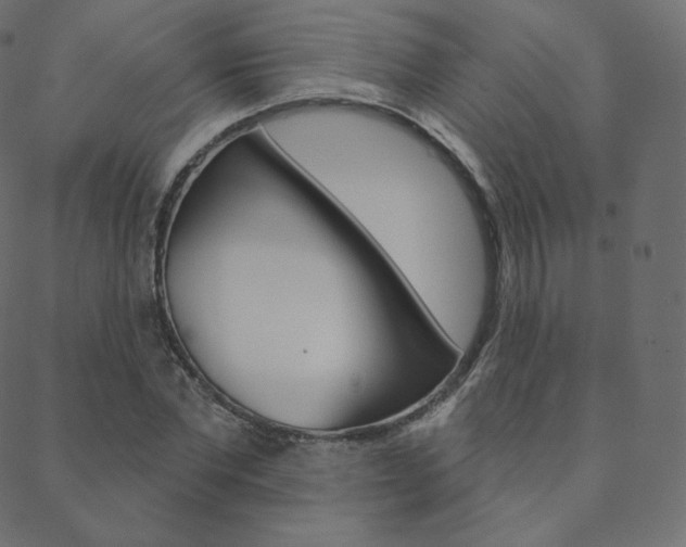 X0000088670877200705310956