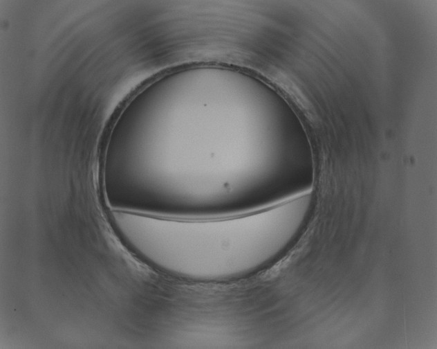 X0000088670888200705310956