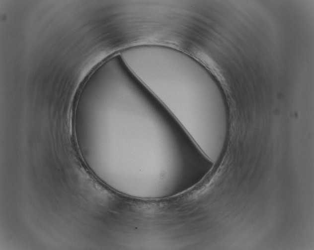 X0000088670892200705310956