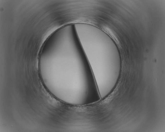 X0000088670900200705310956