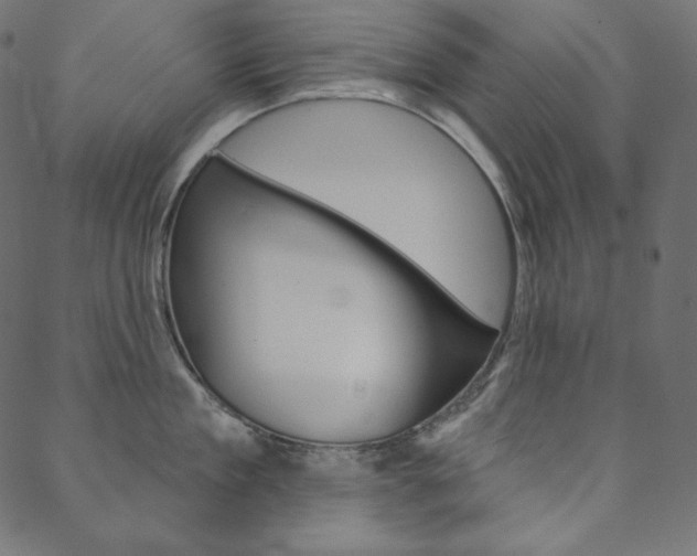 X0000088670909200705310956