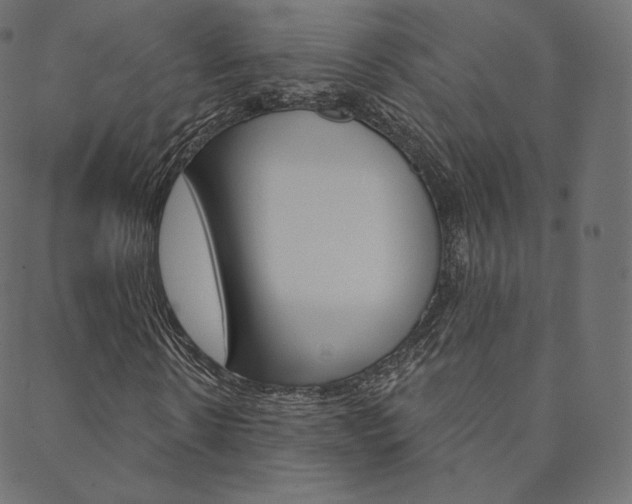 X0000088670914200705310955