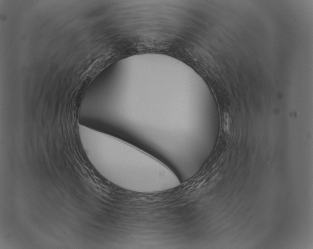X0000088670915200705310955