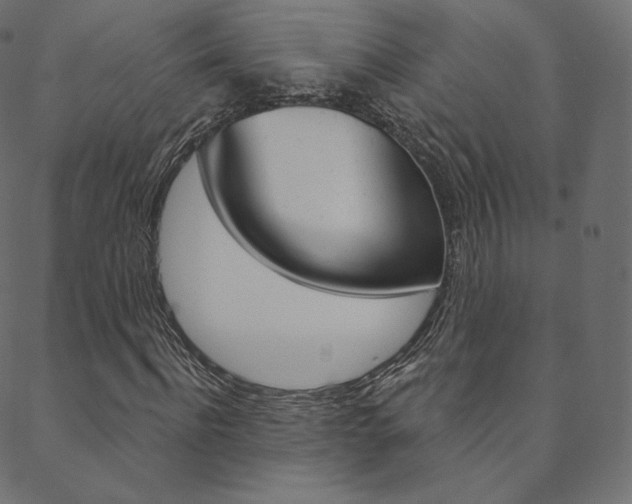 X0000088670916200705310955