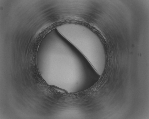 X0000088670919200705310955