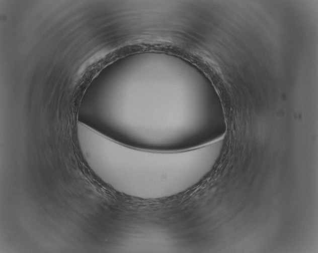 X0000088670920200705310955