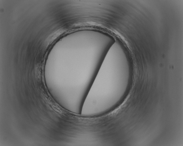 X0000088670921200705310955