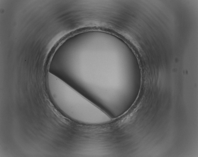 X0000088670927200705310955