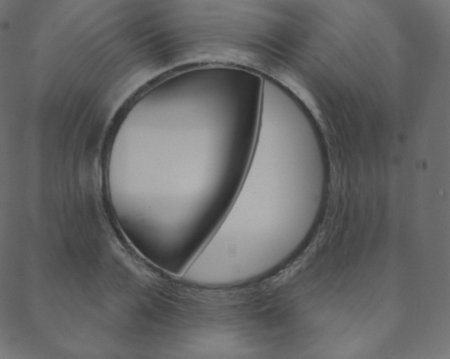 X0000088670936200705310955