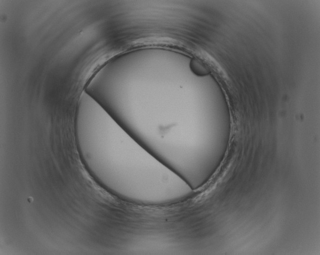 X0000088670937200705310955