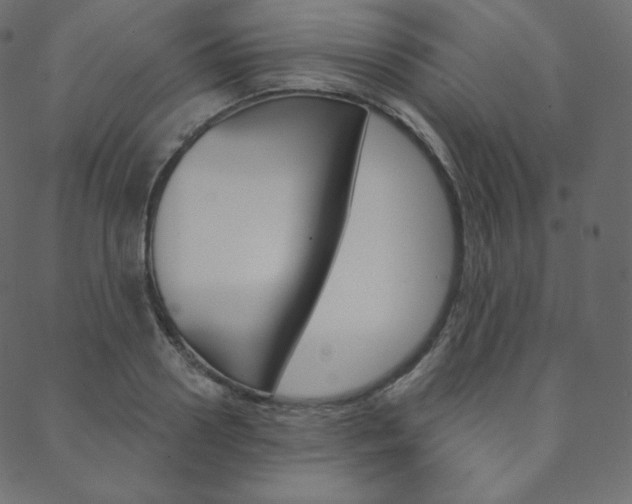 X0000088670938200705310955
