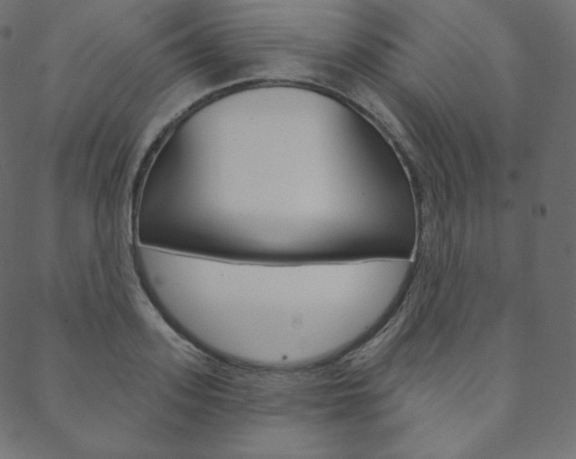 X0000088670939200705310955