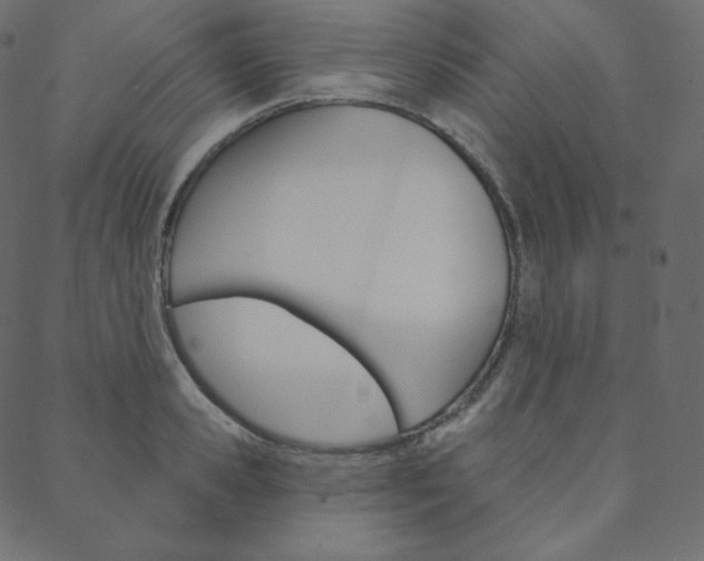 X0000088670941200705310955