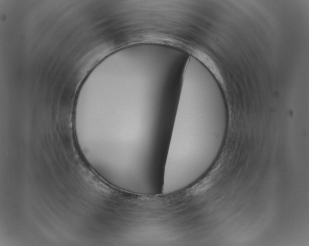 X0000088670954200705310955