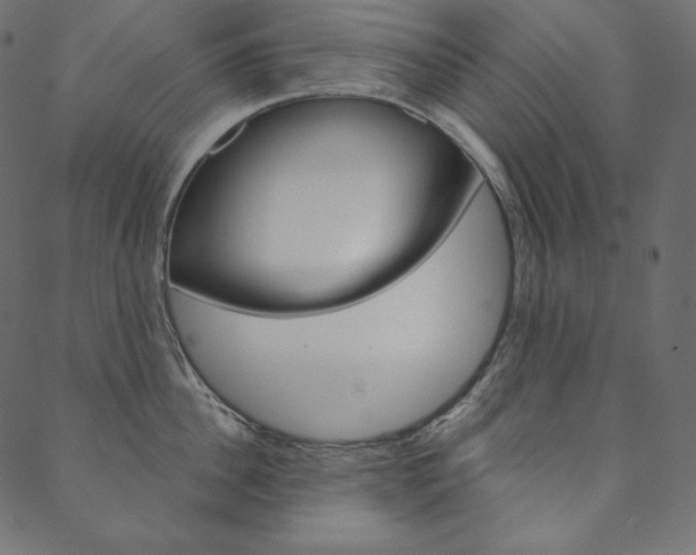X0000088670956200705310955