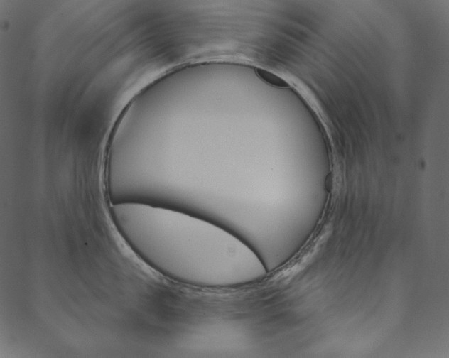 X0000088670957200705310955