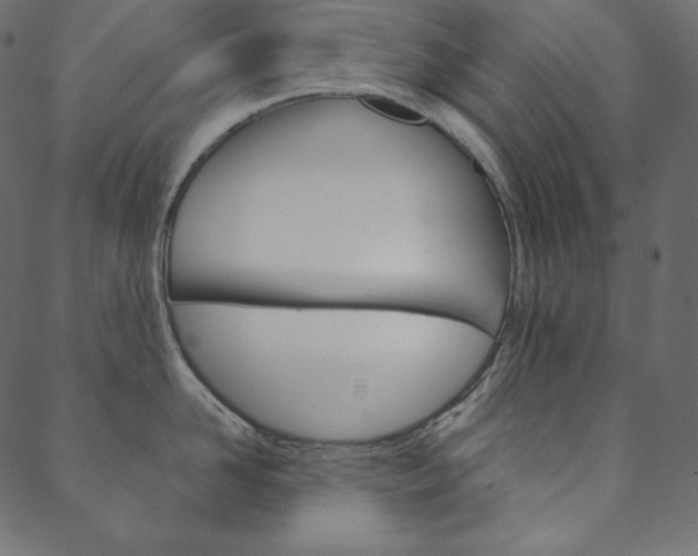 X0000088670958200705310955