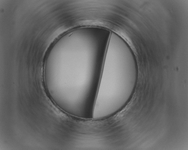 X0000088670992200705310954