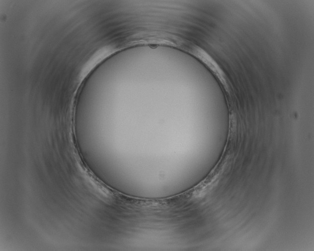X0000088671002200705310954