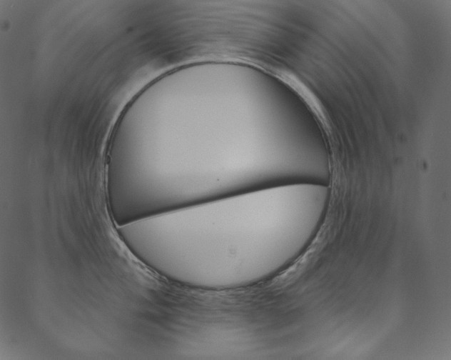 X0000088671004200705310954