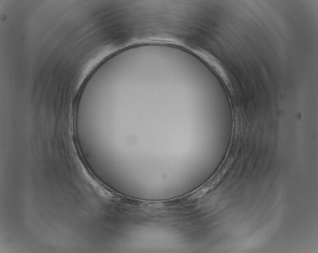 X0000088671006200705310954
