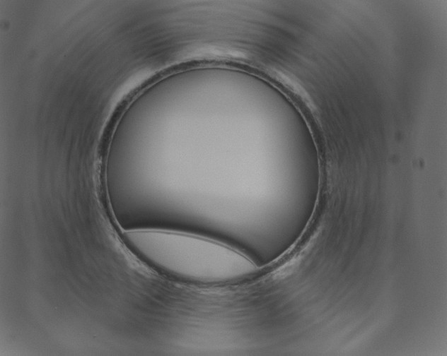 X0000088671029200705310953