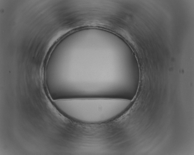 X0000088671032200705310953