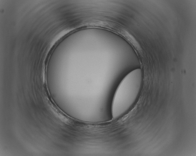 X0000088671036200705310954