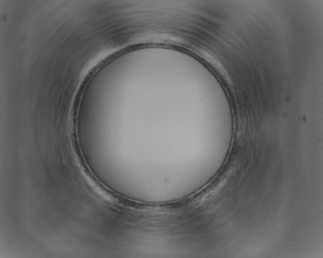 X0000088671037200705310954
