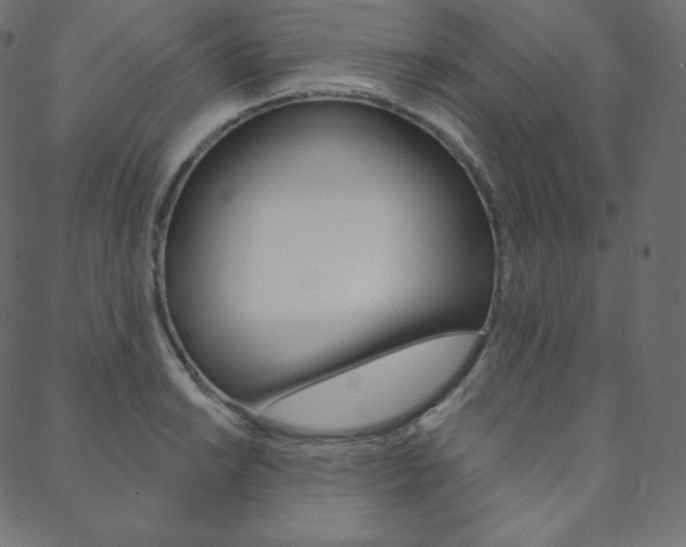 X0000088671038200705310954