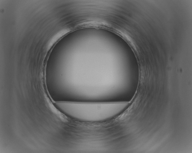 X0000088671042200705310954