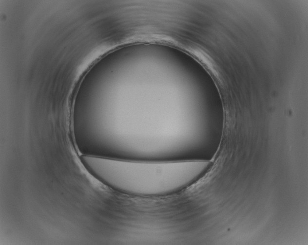 X0000088671046200705310954