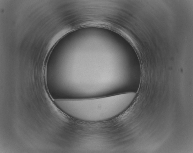 X0000088671050200705310954