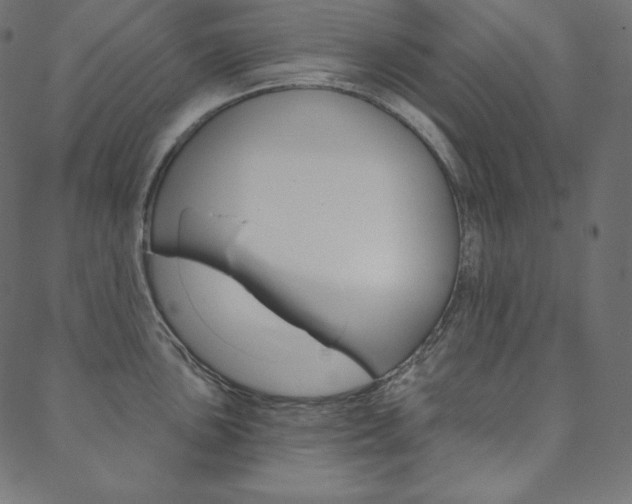 X0000088671051200705310954