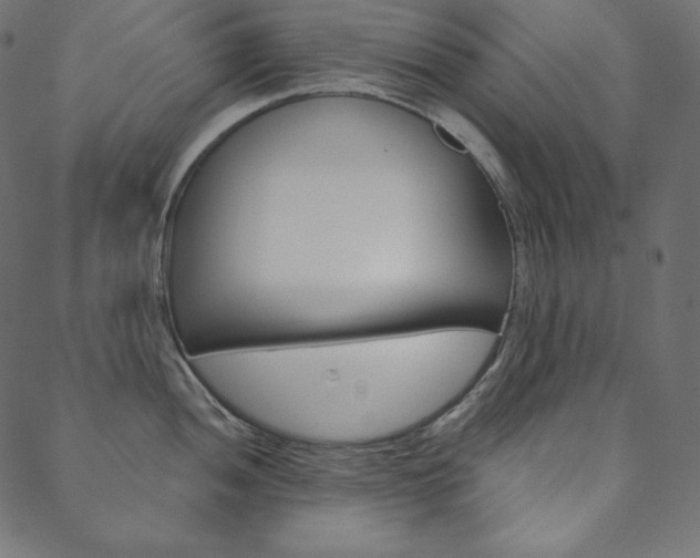 X0000088671052200705310954