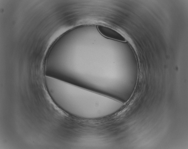 X0000088671053200705310954