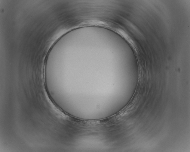 X0000088671055200705310954