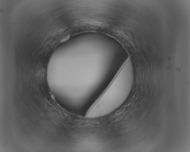 X0000088671061200705310953