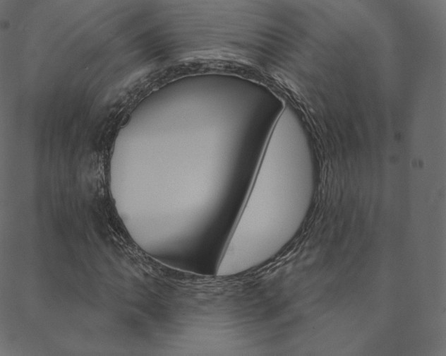 X0000088671062200705310953