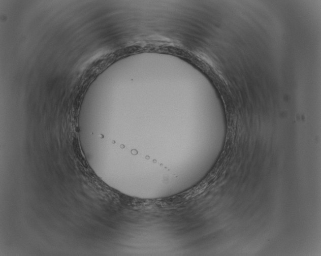 X0000088671063200705310953