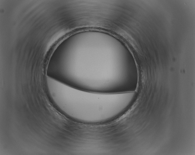 X0000088671069200705310953