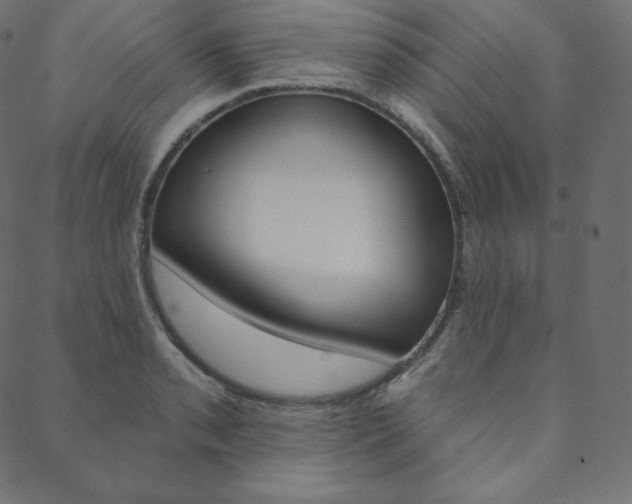 X0000088671085200705310953