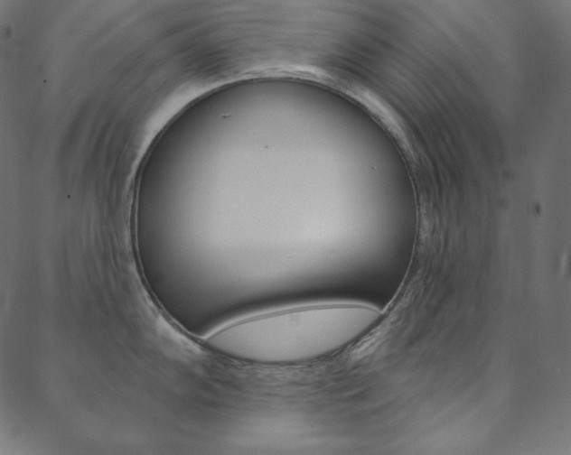 X0000088671102200705310952