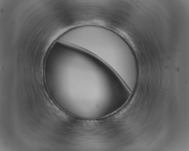X0000088671184200705310951