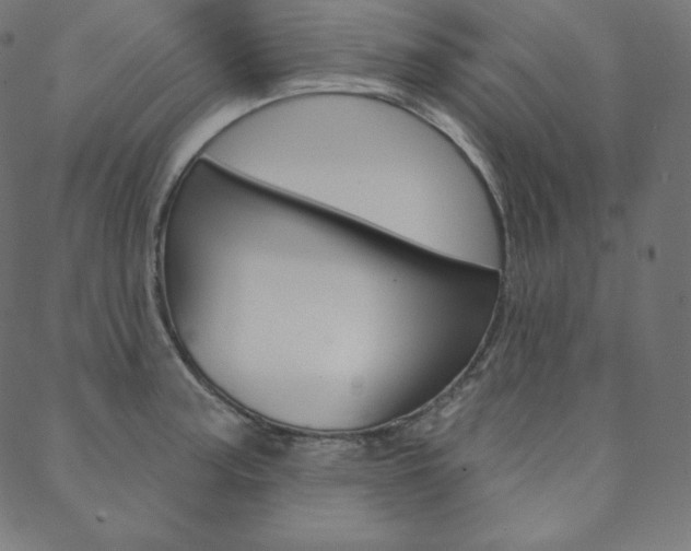 X0000088671187200705310951