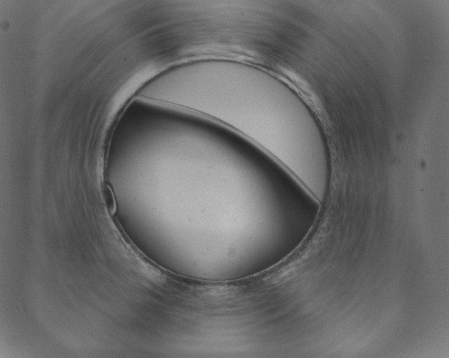 X0000088671188200705310951